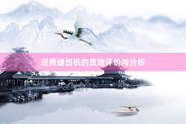 班师缝纫机的质地评价与分析