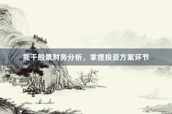 能干股票财务分析，掌捏投资方案环节